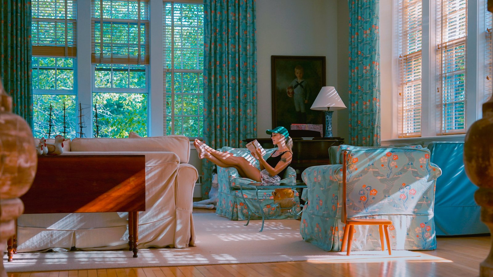 A dog resting in a sunlit living room