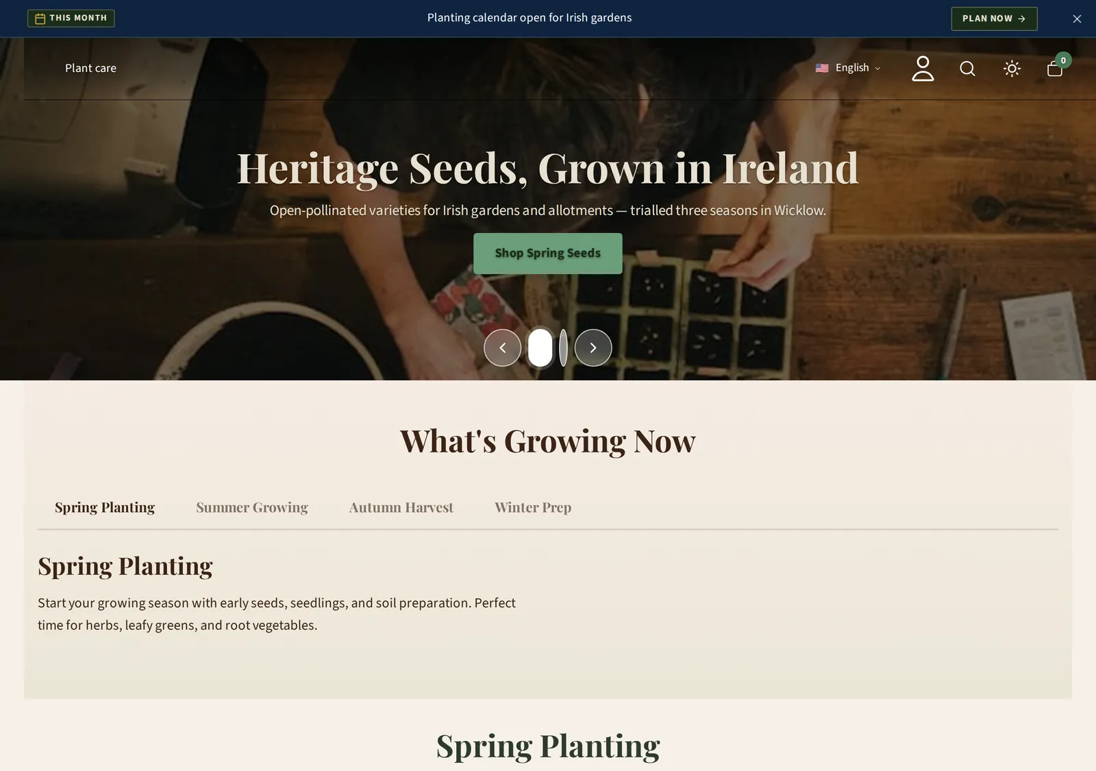 Live demo — Talamh preset homepage